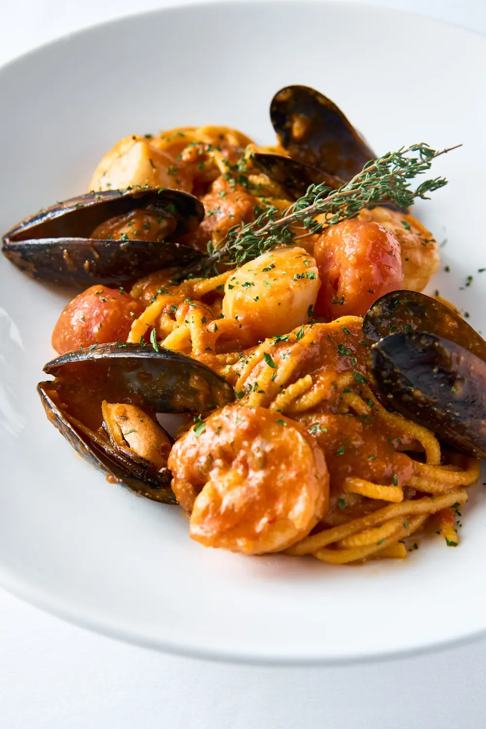 Pasta mit Muscheln und Garnelen